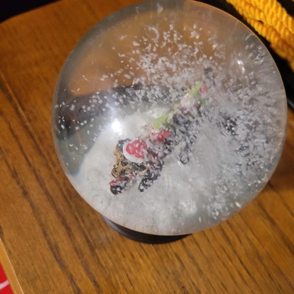 Festive Dog Snow Globe - Picture 4 of 4